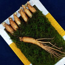 6년근인삼 수삼 인삼하채 수삼6년근 생인삼 인삼한뿌리 수삼한채 수삼6년근 인삼1채 한뿌리인삼 6년근삼, 백화점보자기