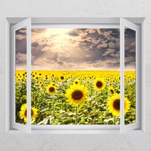 꾸밈 ic286-구름밑해바라기창문그림액자 시트지, E타입-모던블랙