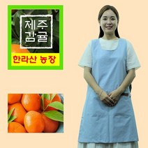 한라산 농장 햇 제주 감귤 10kg 당일수확 농장직송 제주도 못난이 고당도 감귤, 상세페이지 참조