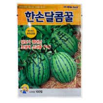 한손달콤꿀 복수박 씨앗 100립 당도가뛰어난 소과종 조생 복수박 종자 바이러스BFB검정필