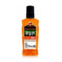 불스원 고농축 카샴푸 세차용품 풍부한거품의 차량세정제, 1개