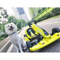 고카트 키트 루지카트 나인봇 레이싱카트 전동휠, 옵션4 (옵션사진참고)