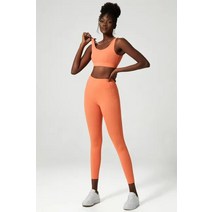 여자 요가 세트 패딩 스포츠 브래지어 메쉬 레깅스 2pcs 정장 휘트니스 의류 여성 Gymwear 운동 activewear C154 C156, [04] XL, [03] orange 2pcs set