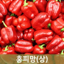 홍피망(상) 10kg 5kg 빨강피망 사이즈 다양 두리반농산, 홍피망(상) 5kg