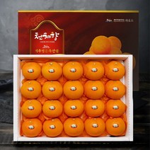 프리미엄 천혜향 선물세트 5kg (18~25과), 단품
