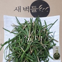 새벽들 2022년 제철채소 봄부추 초벌부추 500g, 1봉