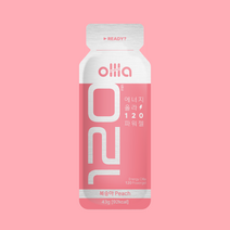 올라 120 에너지 파워젤 [복숭아] [10개입], 10개, 430g