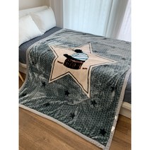 캠핑 필수품 부드럽고 따뜻한 밍크담요 대형사이즈