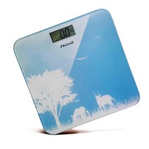 CAS 카스 실내온도측정 디지털 체중계, h1