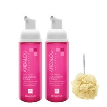 안달로우 천송이 로즈 클렌징폼 163ml *2개 + 버블볼증정, 2개+사은품