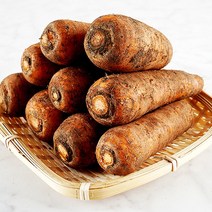 무농약 흙당근 1kg