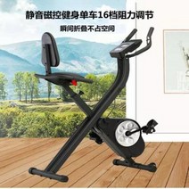 실내자전거 스핀바이크 엑스바이크 가정용 접이식 다이내믹 자전거 실내 정음 자기제어, 오류 발생시 문의 ( 브라더 )