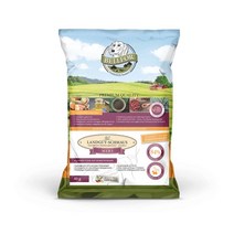 벨포아 미니 강아지사료 샘플 40g 3개 동애등에 인섹트 저알러지 눈물, 벨포아 오리지널 40g x 3ea -빅키블