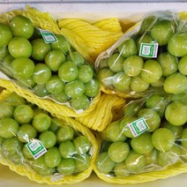 샤인머스켓 4kg 4수 명절 추석 선물세트