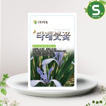 솔림텃밭몰 타래붓꽃씨앗 2g 타래붓꽃 꽃씨앗 야생화, 단품