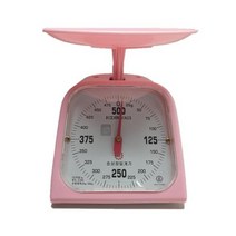 효성정밀계기 주부저울 500g (5g), 1589