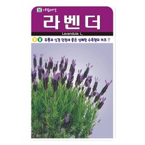 라벤더 씨앗 100립 라벤다씨 허브씨 아람종묘, 1개