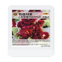겹접시꽃 스프링셀러브리티즈 크림슨 씨앗 10립 겹접시꽃 꽃씨 두리 씨앗
