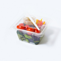 친환경 2단 PLA 샐러드 포장 배달 테이크아웃 용기 뚜껑 세트 1000ml 500개, 거치대 1박스(500개)1KP3814