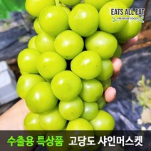 이츠올릿 프리미엄 김천 샤인 머스켓 특품 2수 1kg 상주 영동 씨없는 청포도 머스캣, 샤인머스캣 2수 1kg, 1개