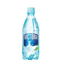 생수 1박스 가정용 안전한 빅토리아 20 탄산수 가정집 페트병 개 500ml 맛있는물