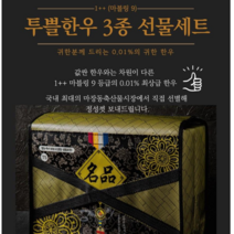 마장축산물시장 직배송 1++ 투뿔 마블링9 최상급 한우 설 선물세트 1kg, 1개