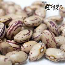 힘찬농부오달봉 수입 매화콩 호랑이콩 강낭콩 울타리콩 새알콩 제비콩, 1포, 4KG