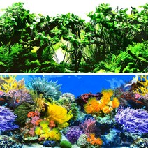 D)수족관 백스크린(10cm단위)-어항배경 그림 시트지/헬로아쿠아