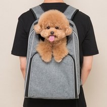 콤펫 파에나 강아지 백팩 이동가방 겸용 카시트, 라이트 그레이