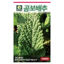 애기방울다다기 양배추 500립 방울양배추 양배추씨앗 양배추씨 채소씨 채소씨앗 야채씨 야채씨앗, 09_다농_곰보 배추(1000립)