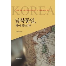 남북통일 해야 하는가:한반도 통일 어떻게 준비해야 하는가 그 비용은 얼마나 들까, 한국문화사, 안두순 저