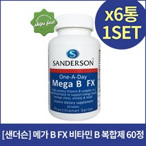 [샌더슨]메가B FX 비타민B 콤플렉스 60정X6개