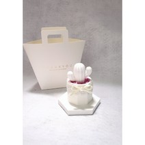 미니선인장 석고 방향제 사은품 육각 트레이, 에끌라드 아르페쥬