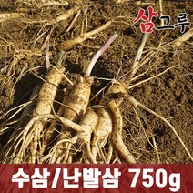 금산인삼 5년근 6년근 수삼 난발삼 원수삼 세척무료 750g 1채, 일반-난발 소 750g 16~20뿌리