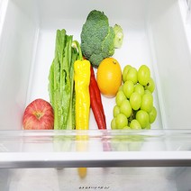 웰로스 올인원 냉장고 항균 탈취 패드 쓱 깔기만 하면 항균 탈취 신선도 유지 까지 냉장고탈취제, 10매