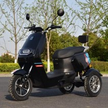 성인자전거 세발 어른 삼륜 3발 3 륜 스쿠터 화물 중국 전기, 2.Black