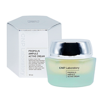 CNP 차앤박 프로폴리스 앰플 액티브 크림 50ml 보습광채크림, 1개