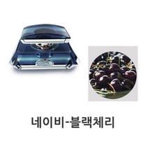 향수 크리스탈방향제 네이비-블랙체리 디퓨저 디퓨져, 1개