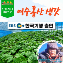 [진여사네돌산갓] 여수 돌산갓 생갓 대량주문가능 10kg, 1개