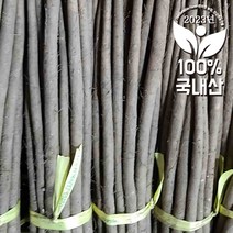 <컴팜>햇우엉(상 )/ (4kg)box, 4kg/box, 4kg” class=”wr-img”></a></div></p></div></p></div></p></div><div class=