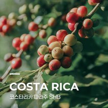 [생두] 코스타리카 따라주 SHB 10kg
