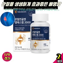 남자 구부릴때 허리삐끗했을때 관절 뼈 무릎 무릅 뼈건강 연골 기능식품 / 조인트 가드 밸런스 서퍼트 서포트 / msm등산 엠에스엠 컴플렉스 / 2000 120정 2달분
