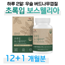 초록입홍합 초록 홍합 인도 보스웰리아 하루 두알 보스웰릭산 우슬 치커리 버드나무 껍질 홈쇼핑 골드 플래티넘 영양제 프리미엄 성분 가격 효능 비교 부모님 엄마 아빠 선생님, 12+1개월분, 1000mg x 60정 (하루두알)