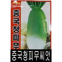 [워터트리몰] 채소 종자 재배 씨앗 중국청피무씨앗(25g) (A)