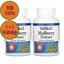 1+1 네추럴팩터스 뽕나무 추출물 100mg 90캡슐