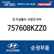 암 어셈블리-프론트 하부 (757608KZZ0) 뉴 슈퍼 에어로 시티