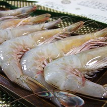 청정태안 자연산 대하 1kg(12-13미내외/급냉), 1개