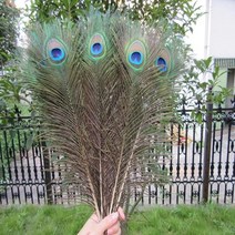 공작 깃털 30 개몫 공예 천연 진짜 공작 깃털 25-80cm 드레스는 홈 호텔 장식 룸 꽃병 웨딩 장식 깃털과 함께 peacock feather, 45-50cm 18-20인치