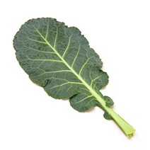 야채왕 녹즙용케일 400~450g 국내산, 1개