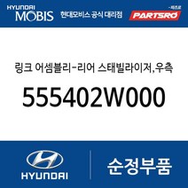 링크 어셈블리-리어 스태빌라이저 우측 (555402W000) 맥스크루즈 올뉴 싼타페 싼타페 더 프라임